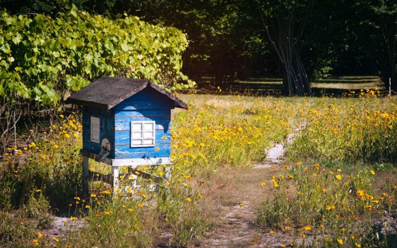 On a installé une ruche dans le jardin