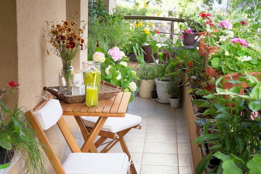 Quelles plantes pour un balcon ? - Domaine du Vieux Bourg